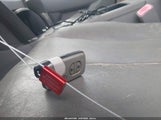 Miniaturka zdjęcia 11