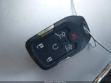 Miniaturka zdjęcia 11