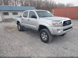 Toyota Tacoma Prerunner V6 5TEJU62N15Z136164 photo