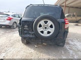 Miniaturka zdjęcia 6