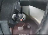 Miniaturka zdjęcia 11