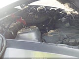 Ford Mustang V6 1ZVBP8AM4E5263328 снимка