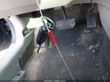 Miniaturka zdjęcia 11