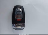 Miniaturka zdjęcia 11