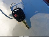 Miniaturka zdjęcia 11