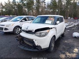Kia Soul + KNDJP3A56E7036527 fotografie