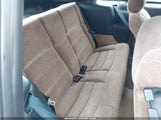Miniaturka zdjęcia 8