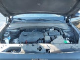 Miniaturka zdjęcia 10