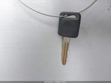Miniaturka zdjęcia 11