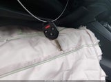 Miniaturka zdjęcia 11