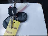 Miniaturka zdjęcia 11