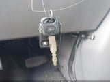Miniaturka zdjęcia 11