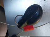 Miniaturka zdjęcia 11