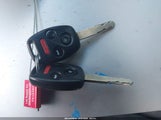 Miniaturka zdjęcia 11