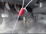 Miniaturka zdjęcia 11
