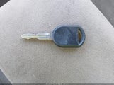 Miniaturka zdjęcia 11