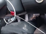 Miniaturka zdjęcia 11