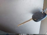 Miniaturka zdjęcia 11