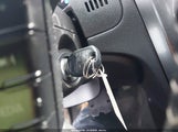Miniaturka zdjęcia 11