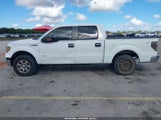Ford F-150 Xlt 1FTFW1CT3BFA84660 снимка