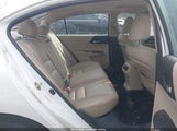 Miniaturka zdjęcia 8