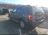 Ford Escape Hybrid 1FMCU59H88KD64279 снимка