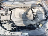 Miniaturka zdjęcia 10