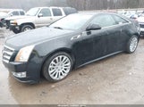 Miniaturka zdjęcia 2