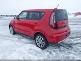 Miniaturka zdjęcia 3