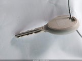 Miniaturka zdjęcia 11