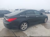 Hyundai Sonata Limited 5NPEC4AC0BH300401 снимка