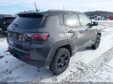Jeep Compass Trailhawk 4X4 3C4NJDDN5RT120442 снимка