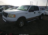 Ford F-150 Lariat/Xlt 1FTPW12514KB29225 fotografie