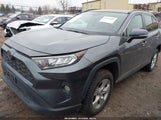 Toyota Rav4 Xle 2T3P1RFVXKC040329 снимка