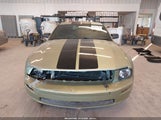Ford Mustang Gt Deluxe/Gt Premium 1ZVFT82H155140259 photo