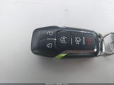 Miniaturka zdjęcia 11