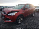 Miniaturka zdjęcia 2