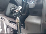 Miniaturka zdjęcia 11