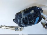 Miniaturka zdjęcia 11