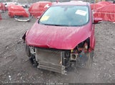 Miniaturka zdjęcia 6