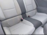 Miniaturka zdjęcia 8