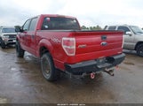 Ford F-150 Xlt 1FTFW1EF8BKD00775 снимка