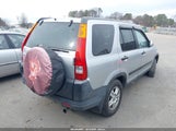 Miniaturka zdjęcia 4