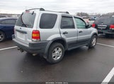 Ford Escape Xlt 1FMCU04142KB75441 fotografie