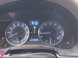 Miniaturka zdjęcia 7