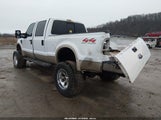 Ford F-250 Fx4/Harley-Davidson/King Ranch/Lariat/Xl/Xlt 1FTSW21R68EA85148 fotografie