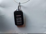 Miniaturka zdjęcia 11