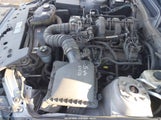 Ford Mustang V6 Deluxe/V6 Premium 1ZVFT80N375288330 photo