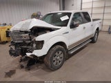 Ford F-150 Fx4/Harley-Davidson/King Ranch/Lariat/Platinum/Xl/Xlt 1FTFW1EV3AFA44981 fotografie