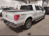 Ford F-150 Fx4/Harley-Davidson/King Ranch/Lariat/Platinum/Xl/Xlt 1FTFW1EV3AFA44981 fotografie